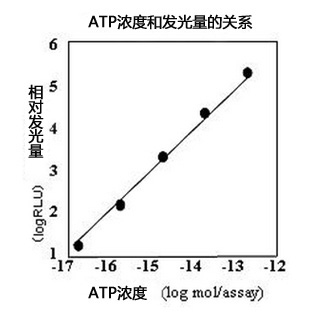 发光量图.jpg