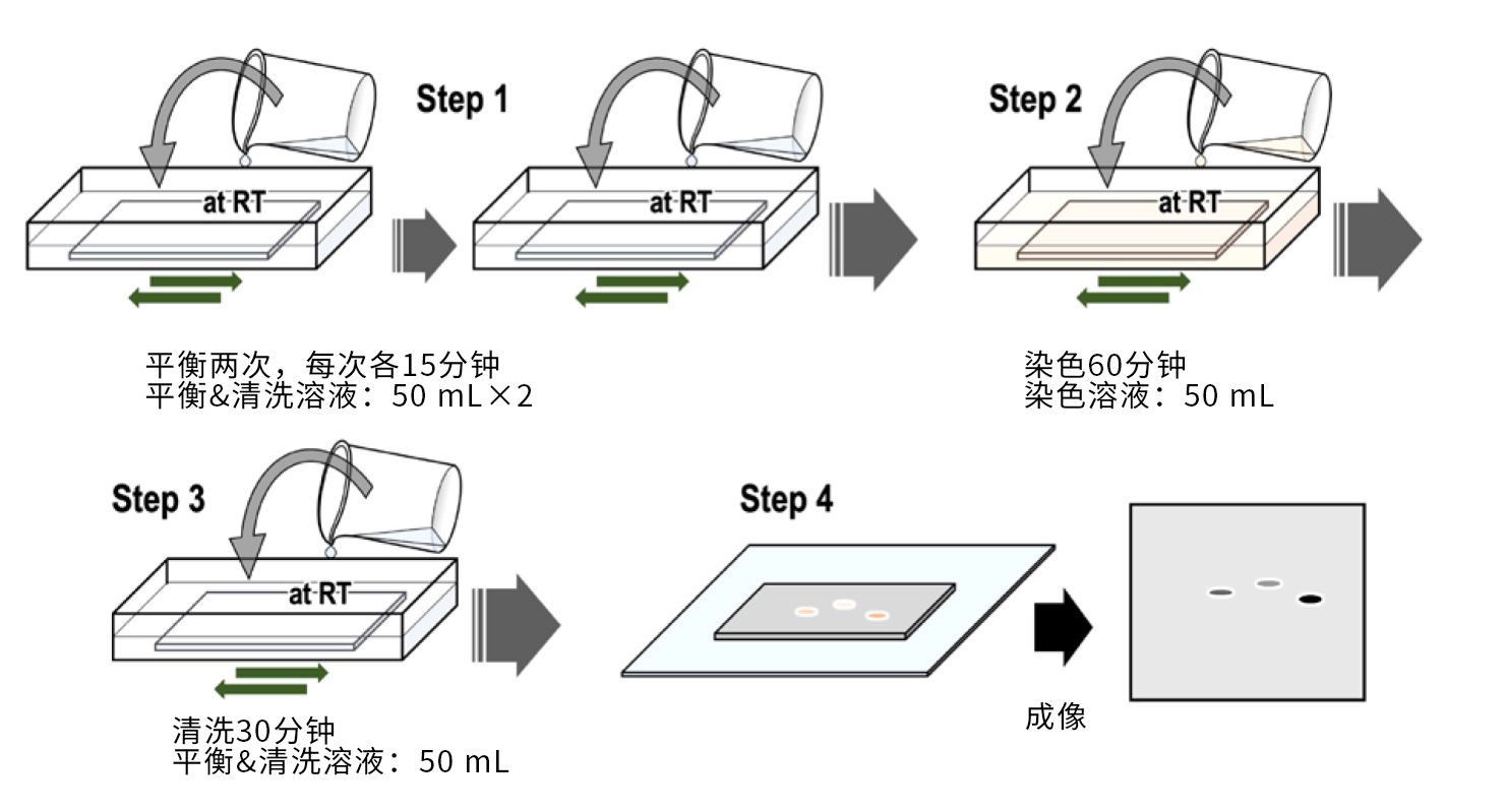 041572851288.jpg