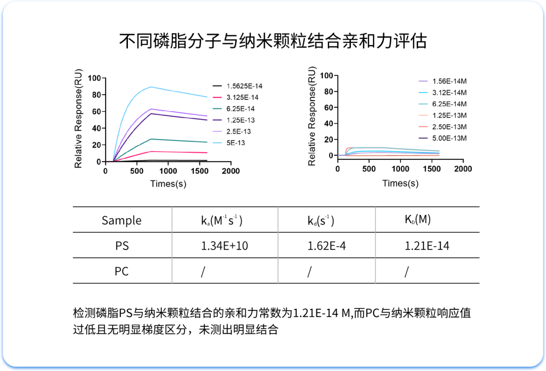 MetaSPR技术｜激发纳米递送新活力