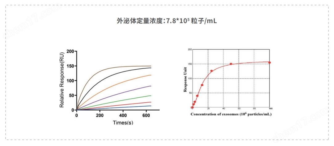 LeExo 外泌体纳米颗粒分析仪