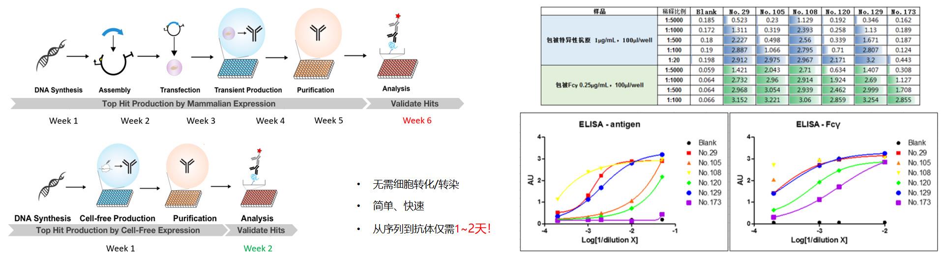 1715763356105.jpg PLD无细胞蛋白表达试剂盒(高通量版)
