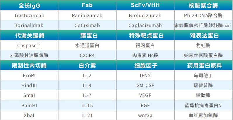1715763443187.jpg PLD无细胞蛋白表达试剂盒(高通量版)