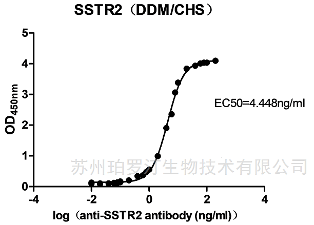 Human SSTR2 Full-Length Protein(Detergent)