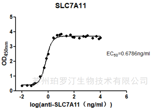 Human SLC7A11 Full-Length Protein(Nanodisc)