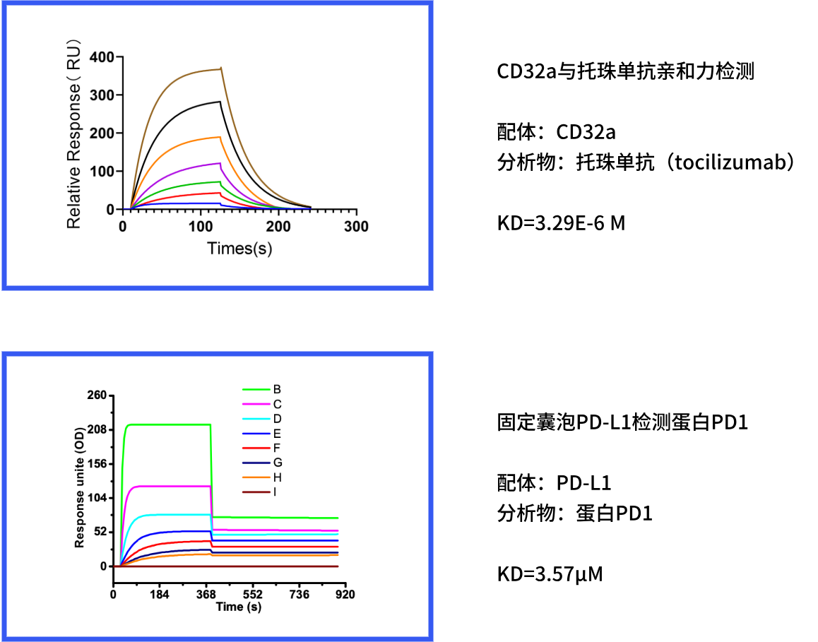 分组 1 (1).png