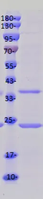 36de51d9-819b-45a2-b3d6-91d6e14ee32a.png_104xaf.png
